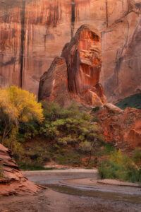 Coyote Gulch, Glen Canyon National Recreation Area Utah Southern Utah Photography Tips
