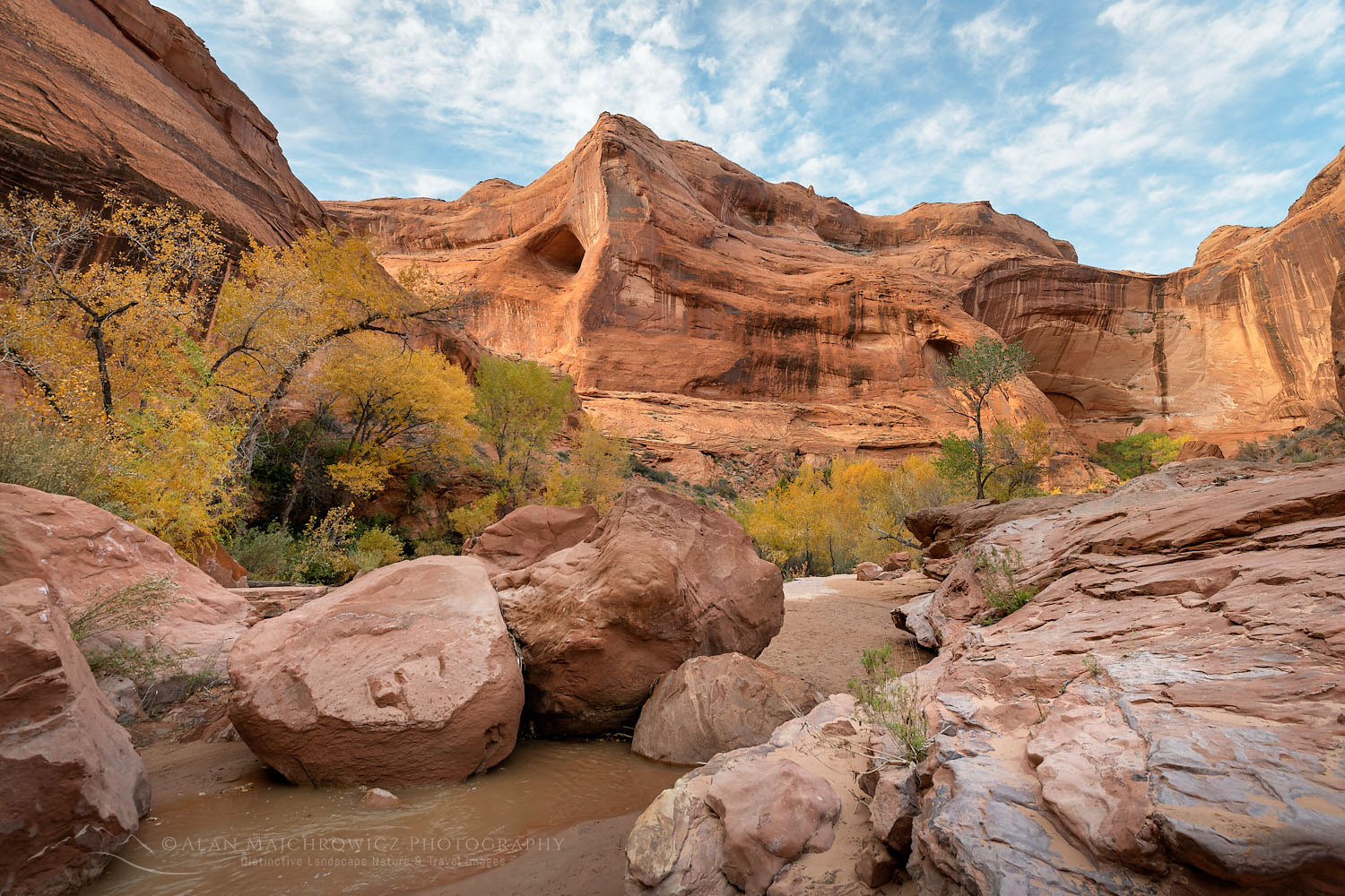 Coyote Gulch, Cliff Arch is in the distance. Glen Canyon National Recreation Area Utah #76216