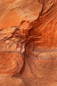 Sandstone canyon wall patterns resembling an archaeopteryx fossil in Coyote Gulch, Glen Canyon National Recreation Area Utah