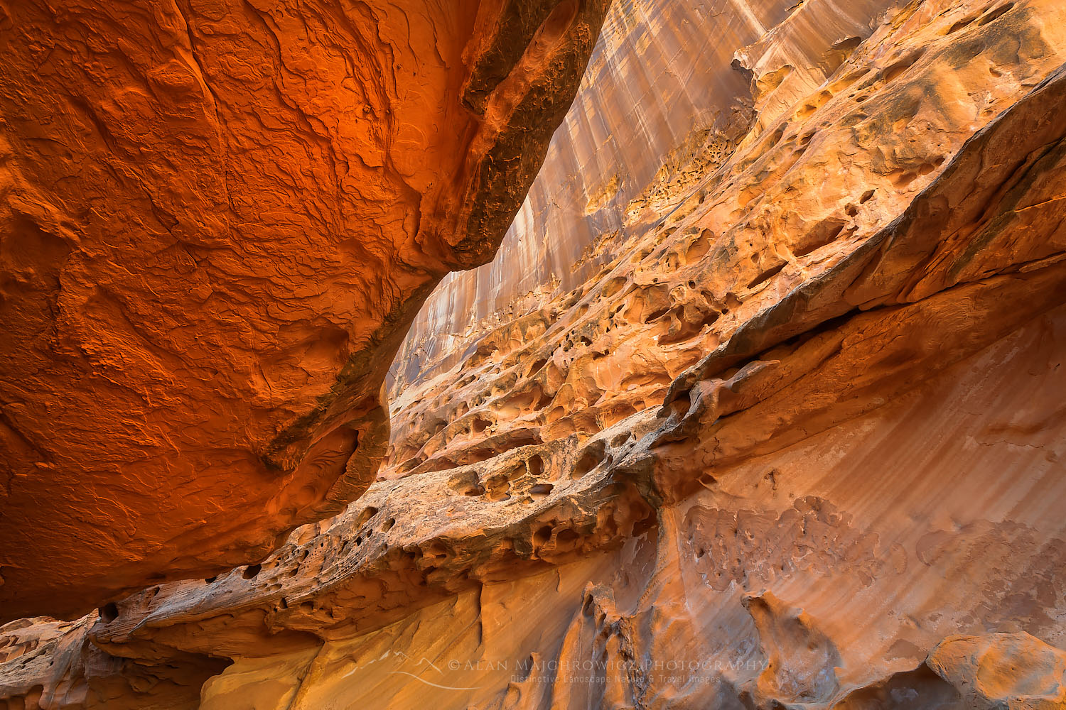 Eroded sandstone walls and overhangs resembling Swiss Cheese in the"subway" slot portion of Crack Canyon San Rafael Reef Southern Utah Photography Tips