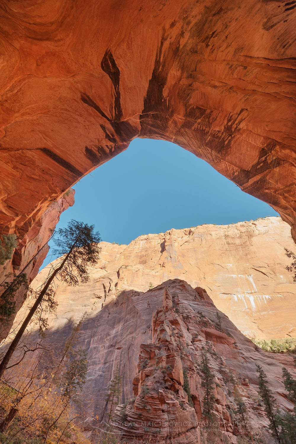 Double Arch Alcove on Taylor Creek, Kolob Canyons Section of Zion National Park Utah #77121