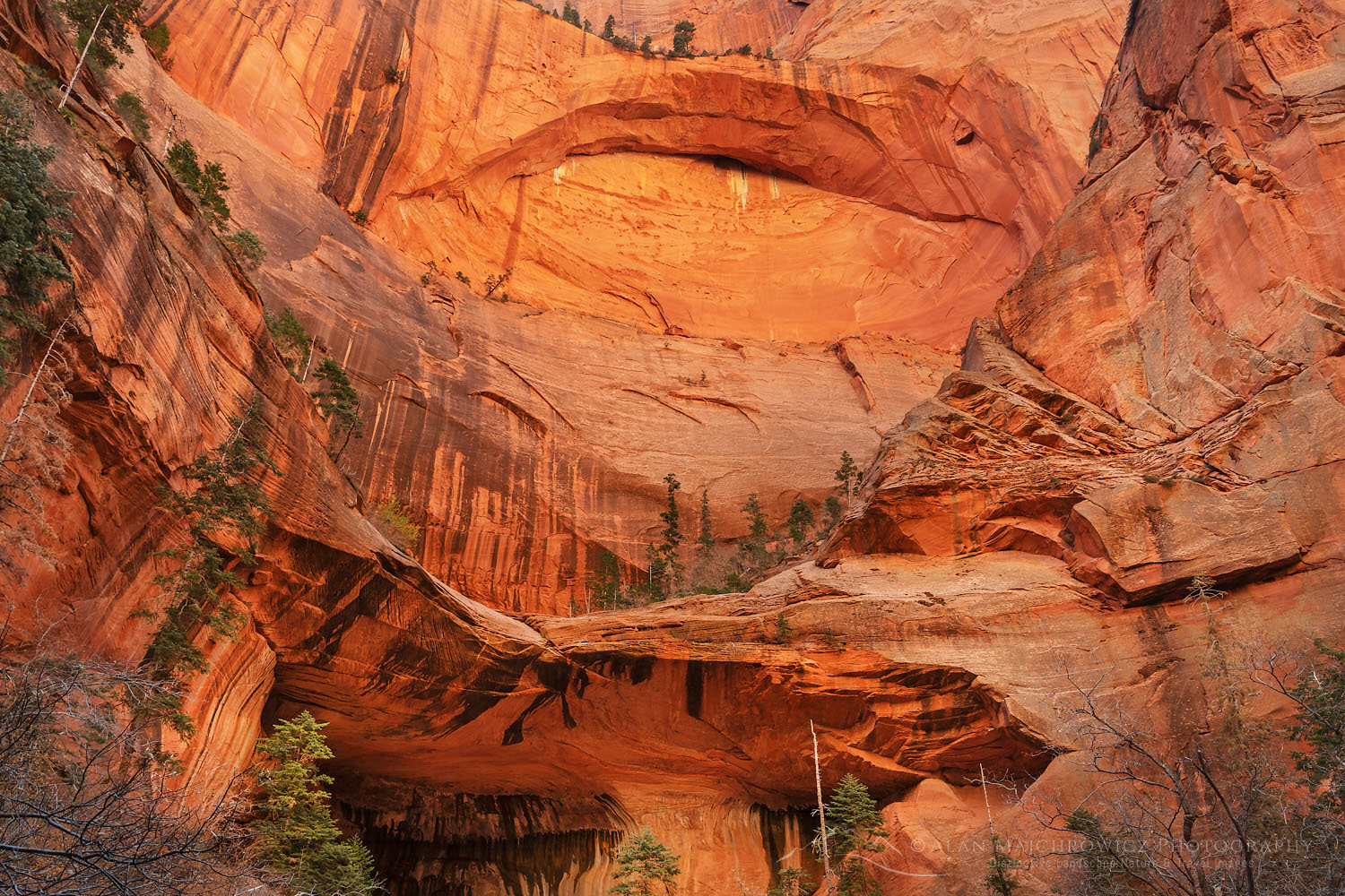 Double Arch Alcove on Taylor Creek, Kolob Canyons Section of Zion National Park Utah #77136