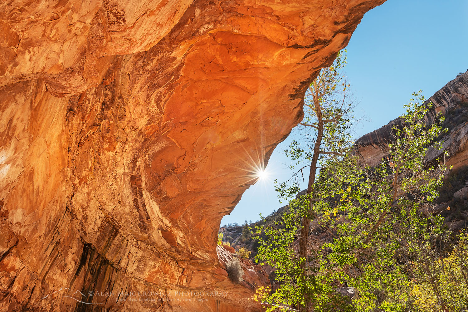 Grand Gulch Cedar Mesa Bears Ears National Monument Utah #74839