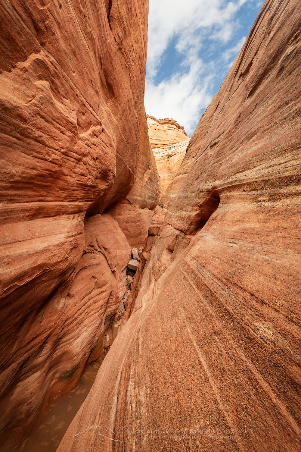 Small slot canyon in Halfway Hollow Grand Staircase-Escalante National Monument Utah #75911