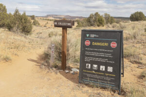 Halfway Hollow trailhead to Harris Wash and Zebra Slot Canyon, Grand Staircase-Escalante National Monument Utah