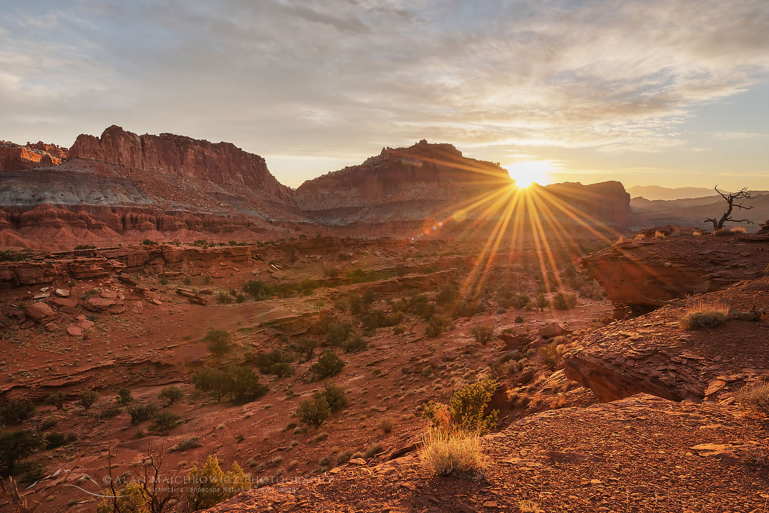 Sunrise from Panorama Point, Capitol Reef National Park Utah #75491