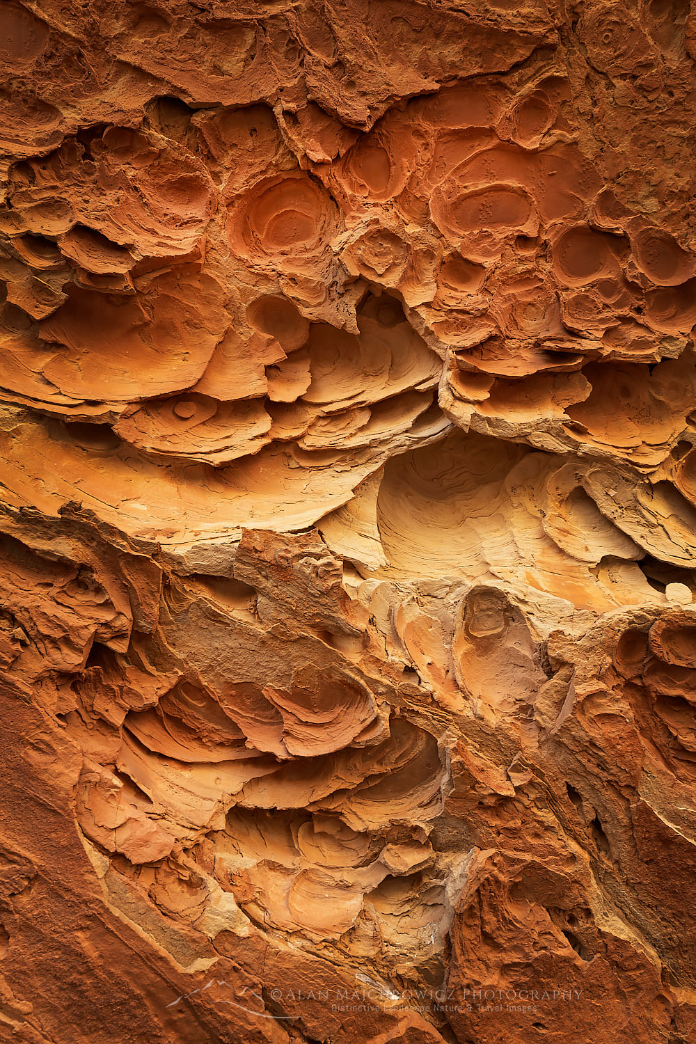 Sandstone erosion patterns Capitol Reef National Park Utah #75564