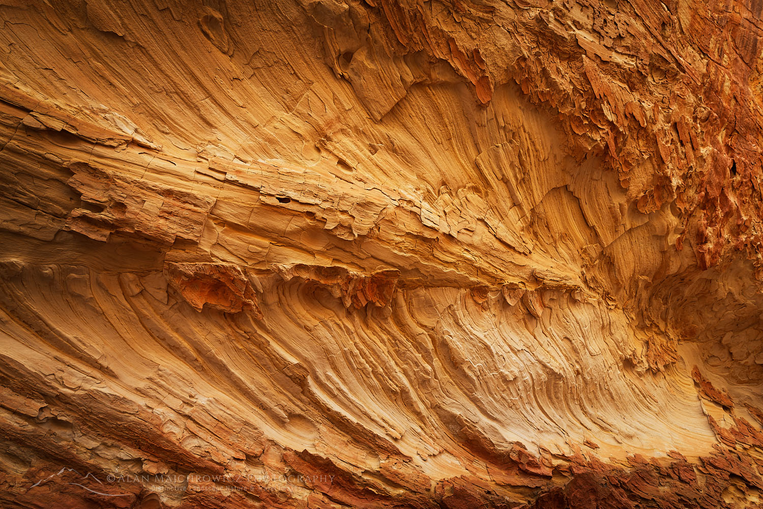 Sandstone erosion patterns Capitol Reef National Park Utah #75575