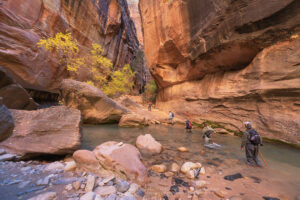 Hikers in Zion Canyon Narrows Zion National Park Utah