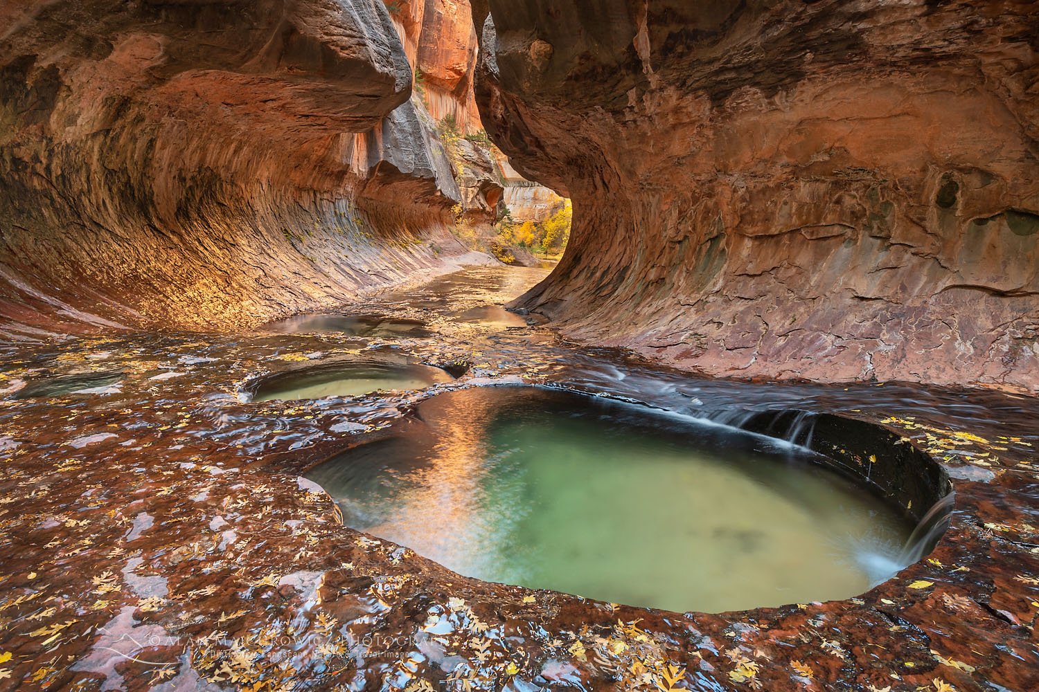 Emerald green pools in The Subway, Left Fork North Creek, Zion National Park Utah #76828