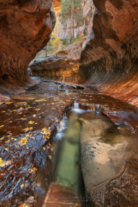 Emerald green pools in The Subway, Left Fork North Creek, Zion National Park Utah