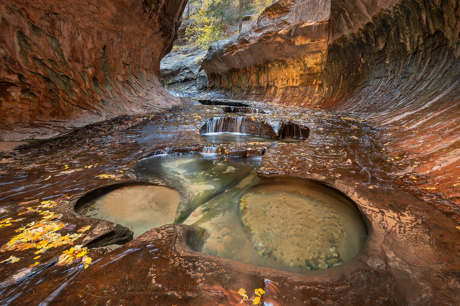 Emerald green pools in The Subway, Left Fork North Creek, Zion National Park Utah #76847