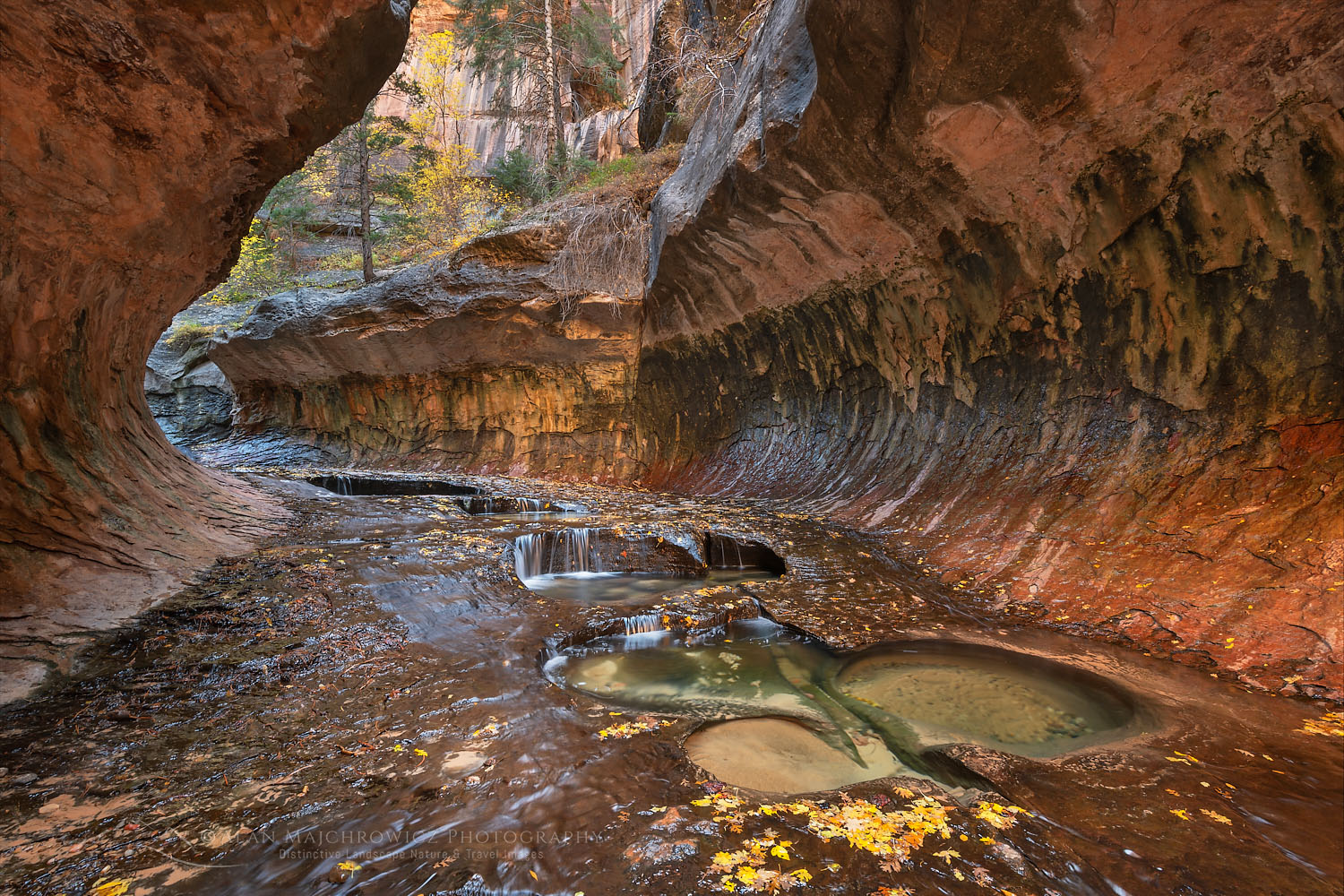 Emerald green pools in The Subway, Left Fork North Creek, Zion National Park Utah #76864