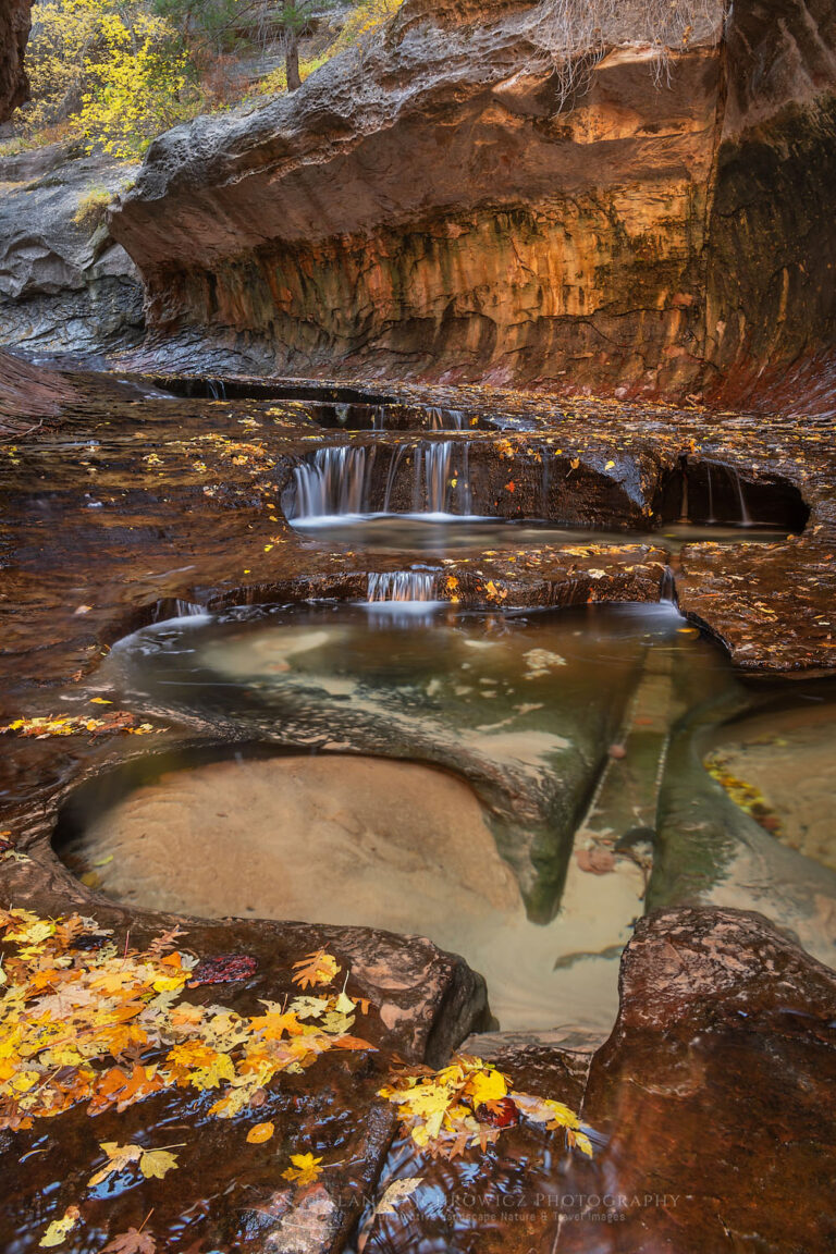 Zion National Park Alan Majchrowicz