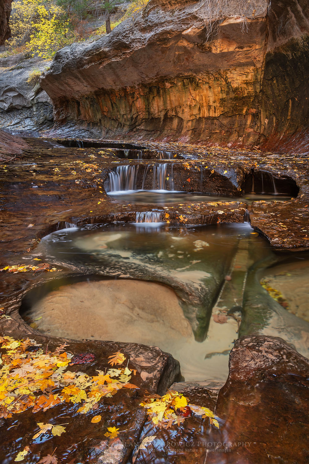 Emerald green pools in The Subway, Left Fork North Creek, Zion National Park Utah #76878