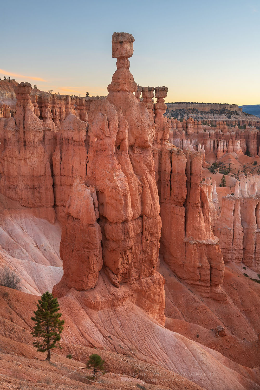 Thor's Hammer and colorful hoodoos seen from below the canyon rim at Sunrise Point, Bryce Canyon National Park, Utah #76477