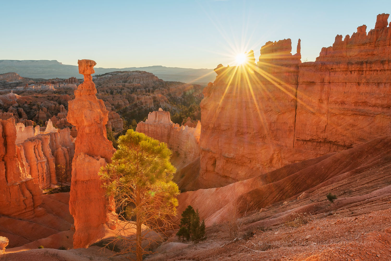 Sunrise view of Thor's Hammer and colorful hoodoos seen from below the canyon rim at Sunrise Point, Bryce Canyon National Park, Utah