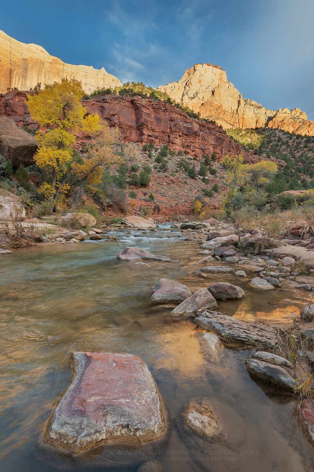 Fall color along the Virgin River Zion National Park #76671
