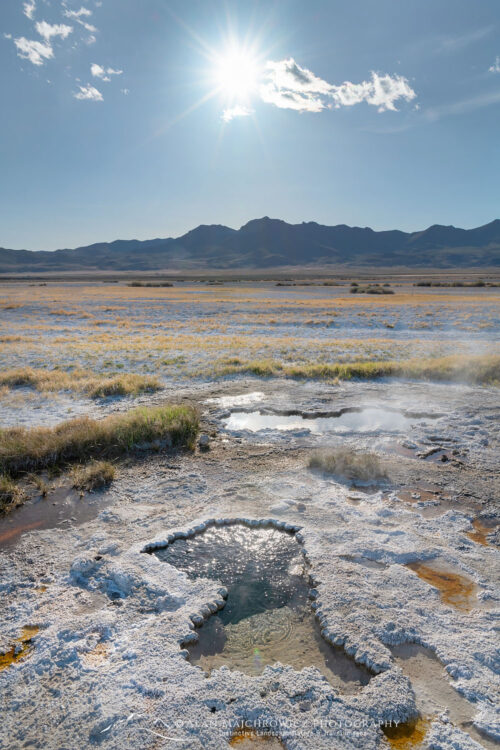 Borax Hot Springs, Alvord Desert, Oregon #71511