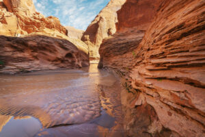 Steam flowing through canyon walls of Coyote Gulch, Glen Canyon National Recreation Area Utah #76250