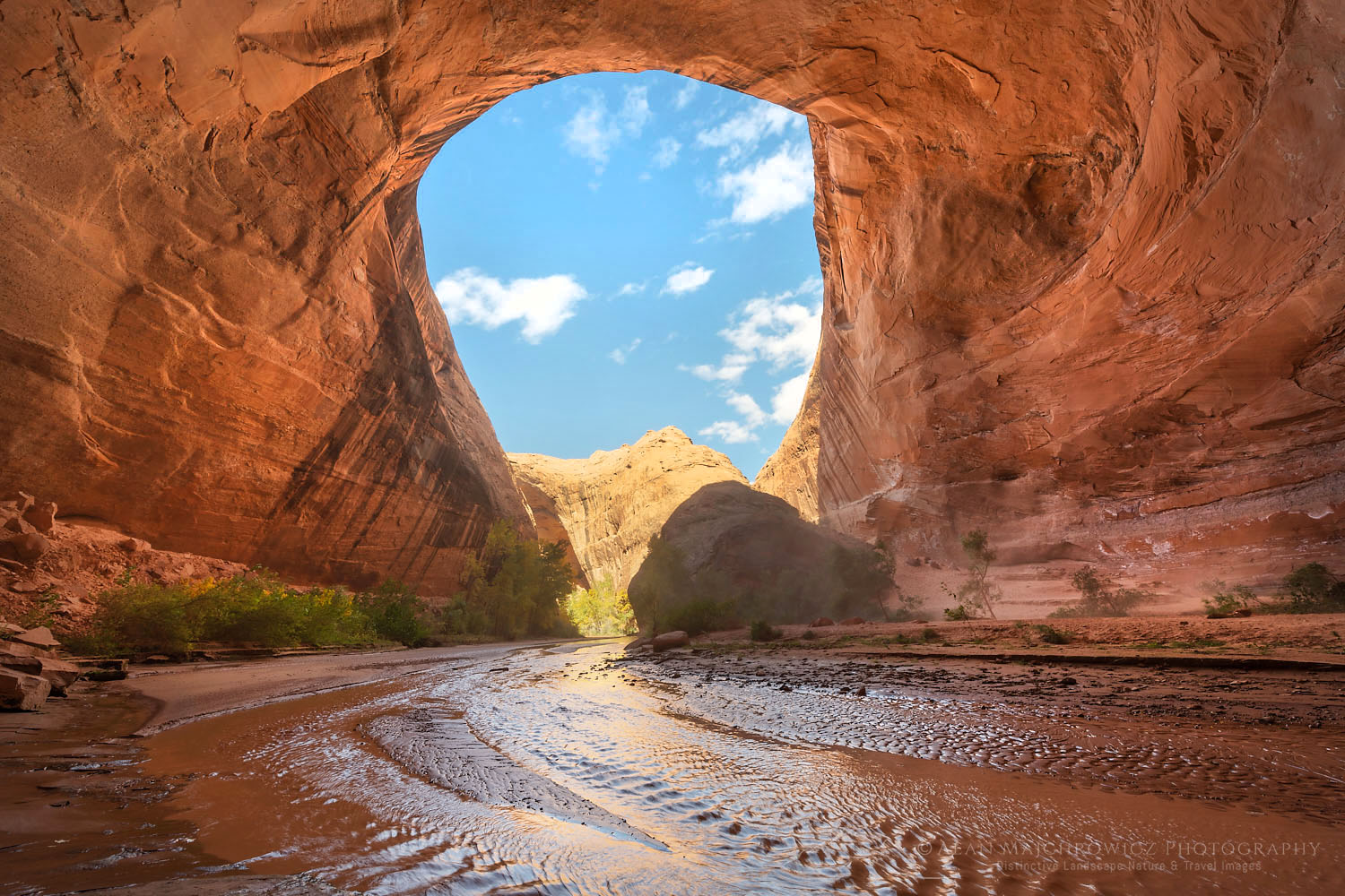 Giant sandstone alcove adjacent to Jacob Hamblin Arch, Glen Canyon National Recreation Area Utah #76266