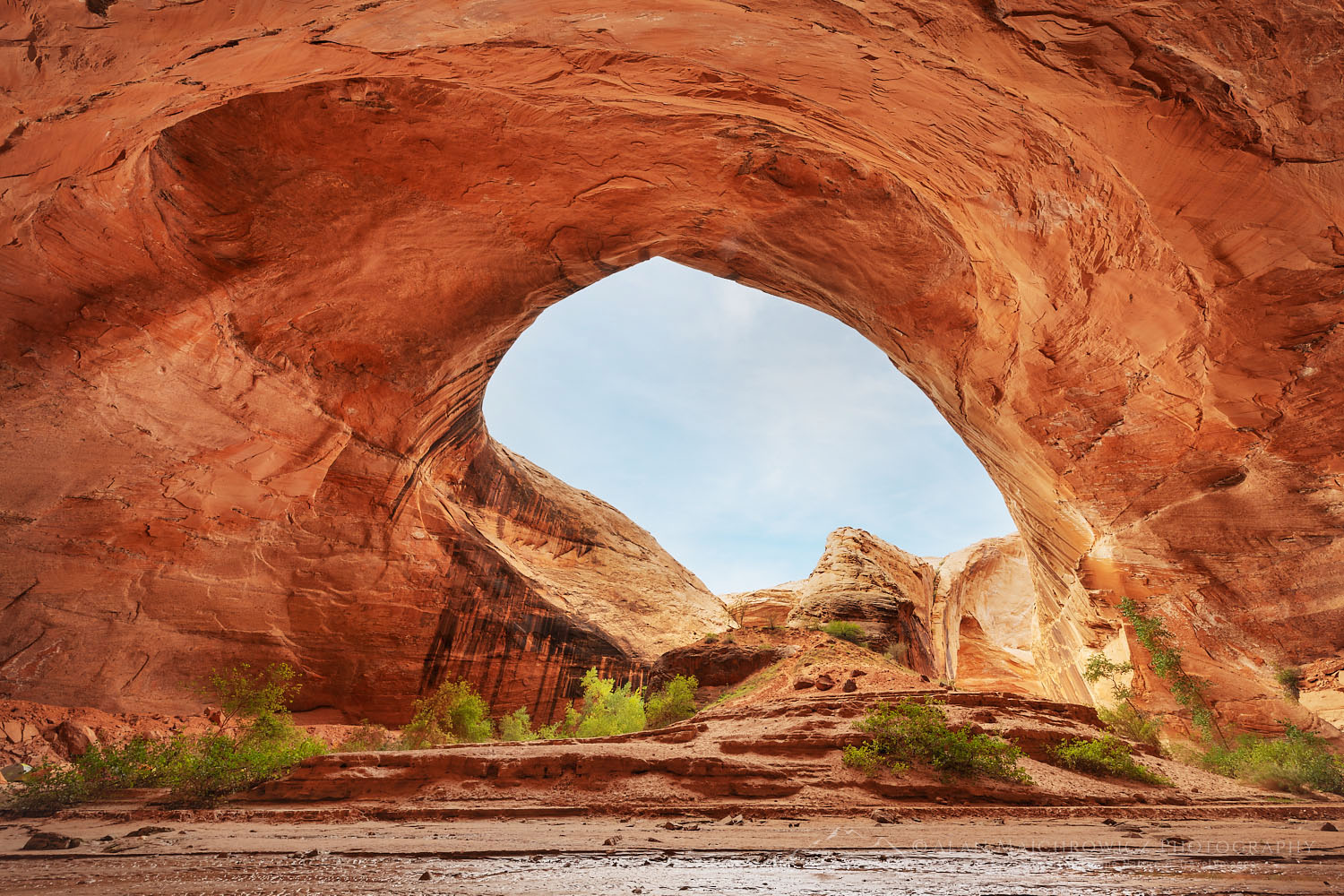 Giant sandstone alcove adjacent to Jacob Hamblin Arch, Glen Canyon National Recreation Area Utah #75967