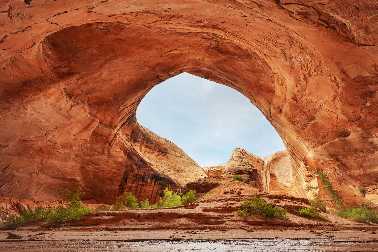 Giant sandstone alcove adjacent to Jacob Hamblin Arch, Glen Canyon National Recreation Area Utah #75967