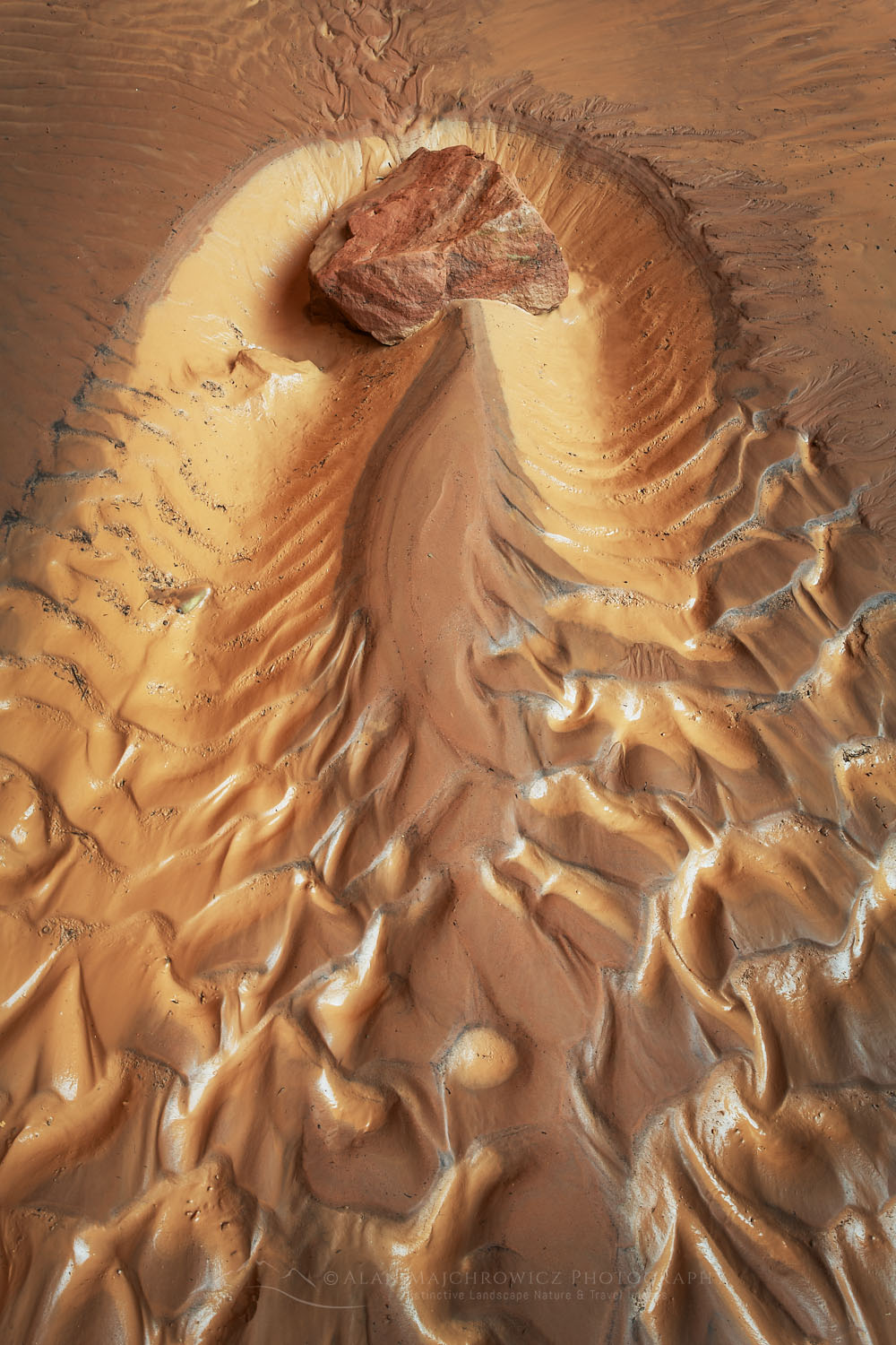 Sand and mud patterns resembling a horshoe crab in Coyote Gulch, Glen Canyon National Recreation Area Utah #76326