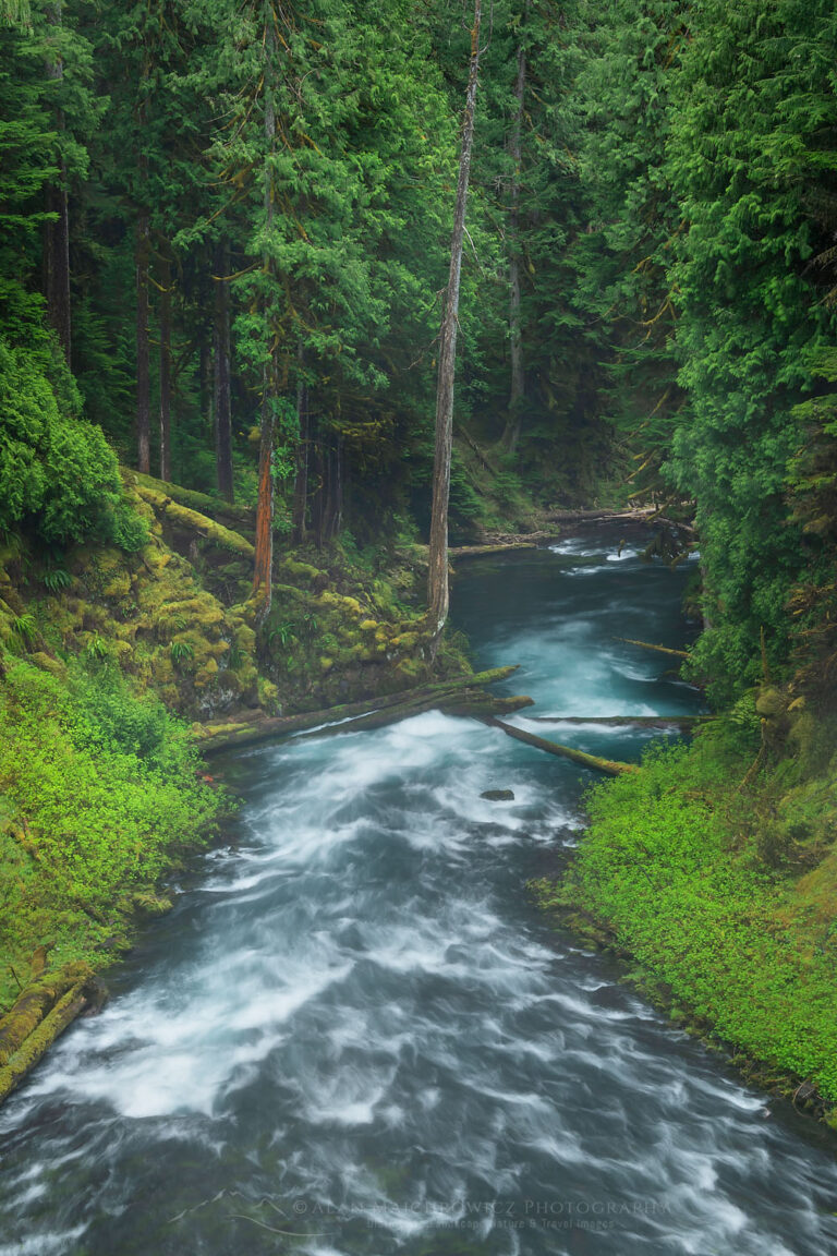 McKenzie River Oregon Alan Majchrowicz