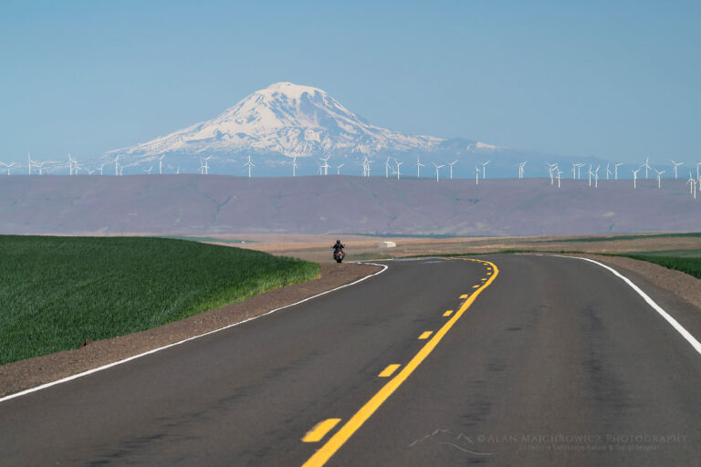 Mount Adams Oregon Highway 206 Alan Majchrowicz Photography