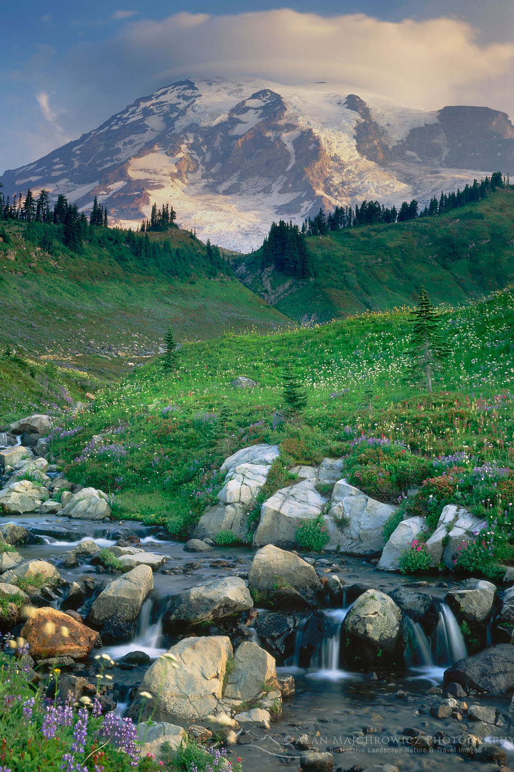 Mount Rainier from Edith Creek, Mount Rainier National Park Washington #3522
