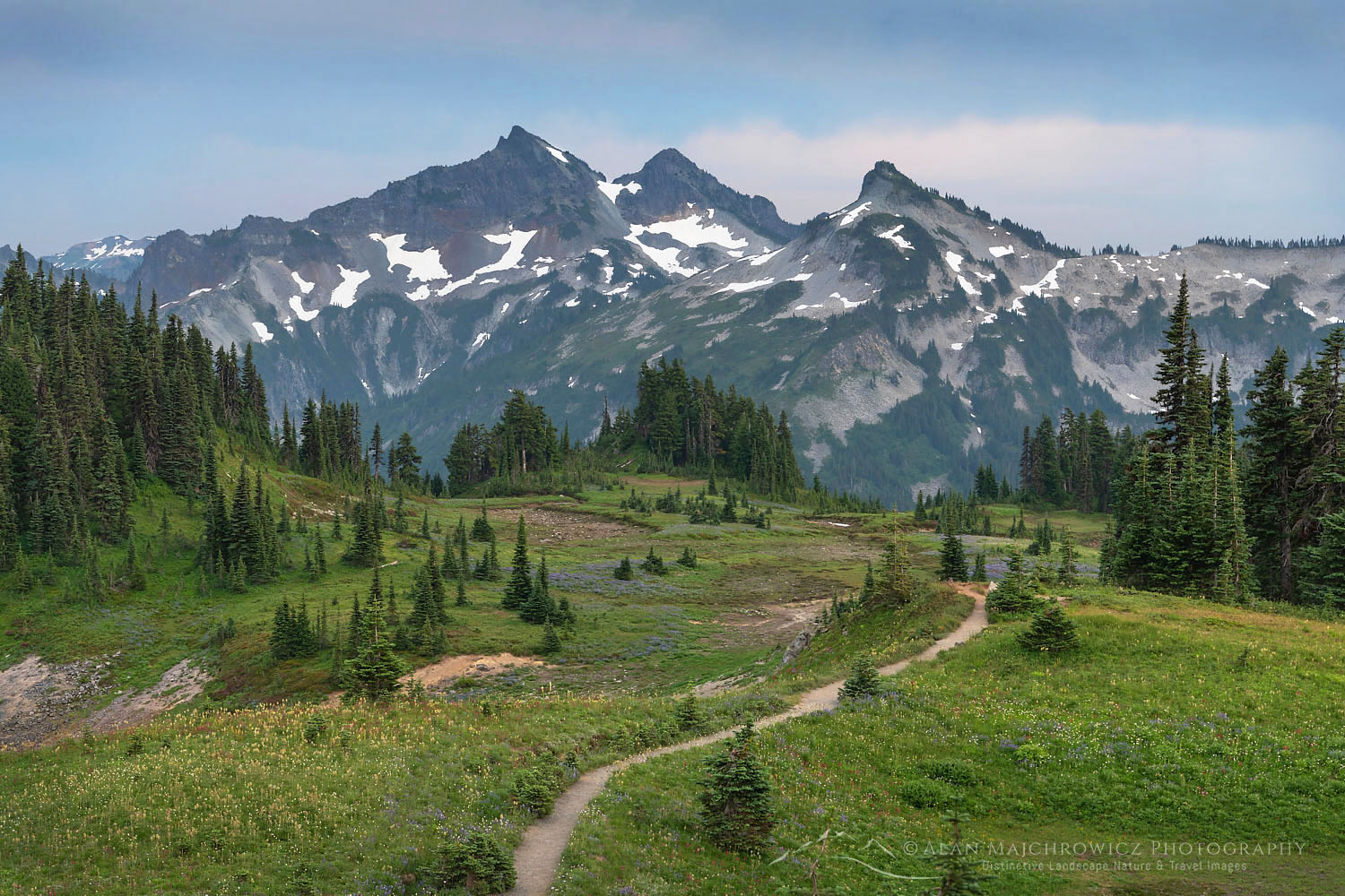 Tatoosh Range and Skyline Trail, Mount Rainier National Park Washington #73153