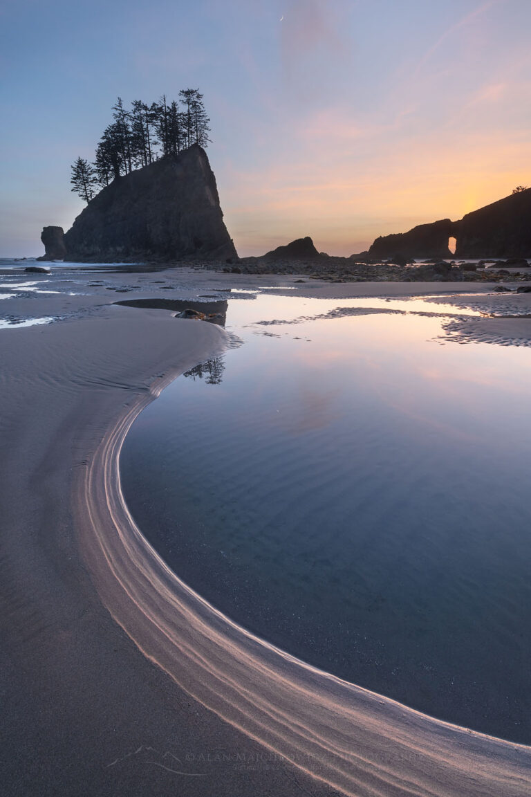 Second Beach Olympic National Park - Alan Majchrowicz Photography