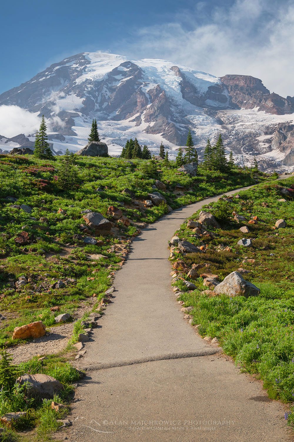 Paved section of Skyline Trail. Paradise wildflower meadows Mount Rainier National Park #72892
