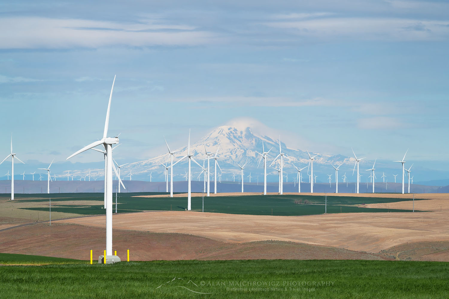 Wind Turbines on Columbia Plateau near Wasco Oregon. Mount Adams is in the distance #71233