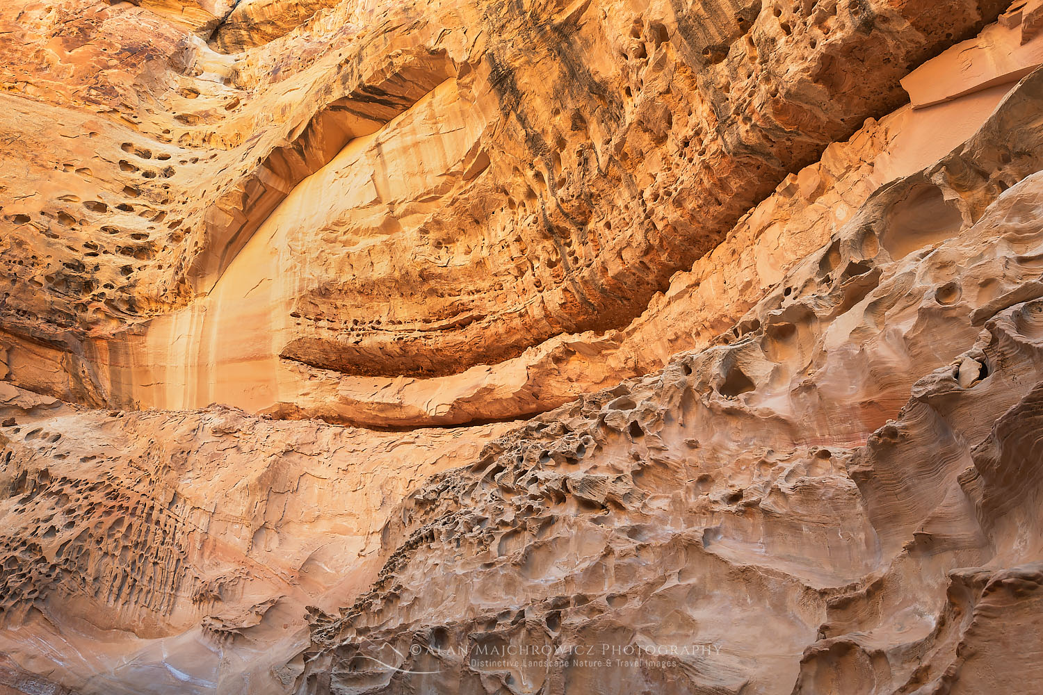 Eroded sandstone walls resembling Swiss Cheese in Crack Canyon San Rafael Reef Utah #75148