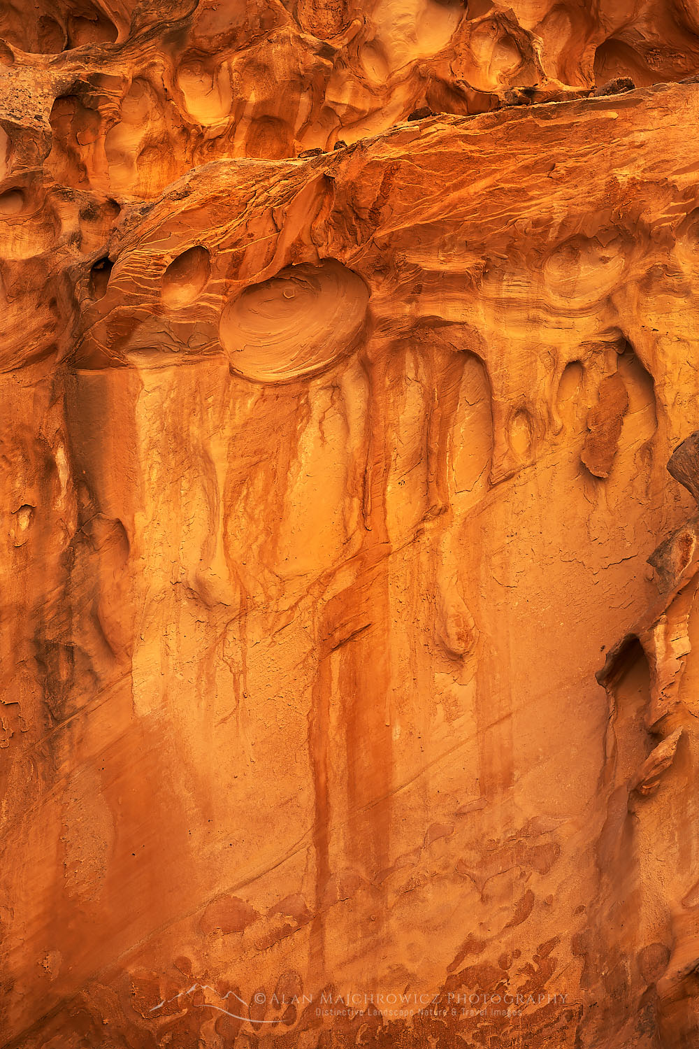 Eroded sandstone walls resembling Swiss Cheese at the entrance to Crack Canyon San Rafael Reef Utah #75158