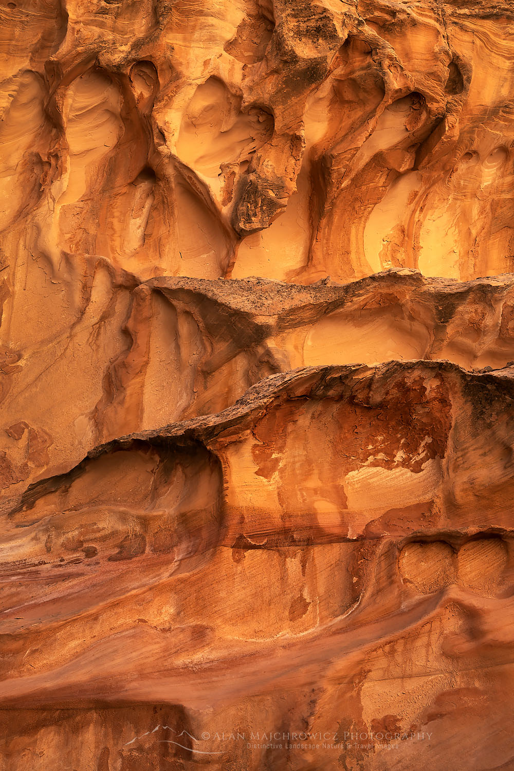 Eroded sandstone walls resembling Swiss Cheese at the entrance to Crack Canyon San Rafael Reef Utah #75159