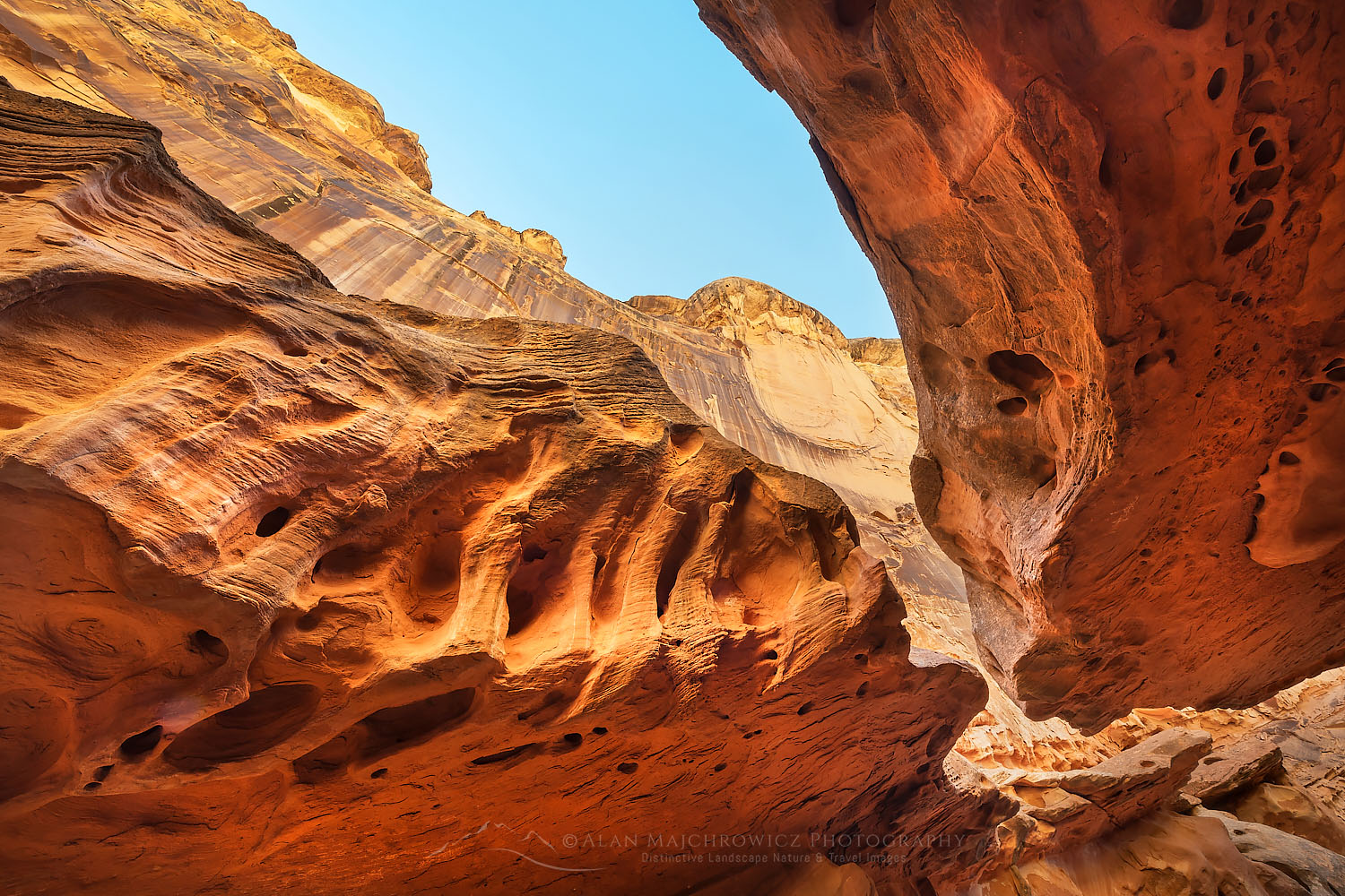 Eroded sandstone walls and overhangs resembling Swiss Cheese in the"subway" slot portion of Crack Canyon San Rafael Reef Utah #75182