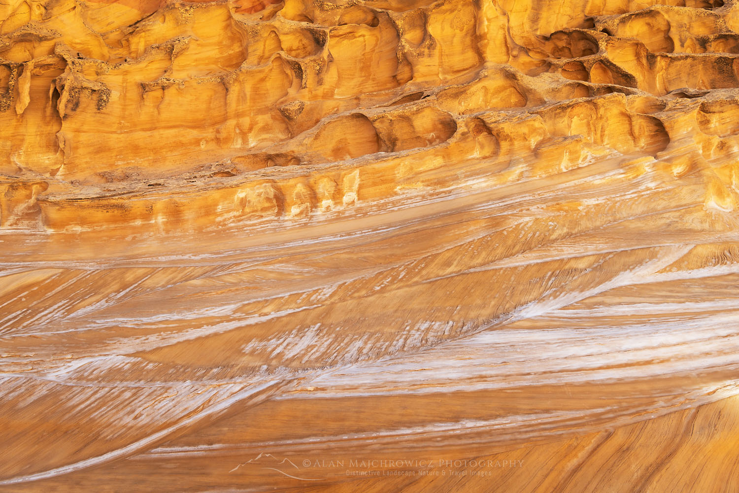 Eroded sandstone walls resembling Swiss Cheese in Crack Canyon San Rafael Reef Utah #75196