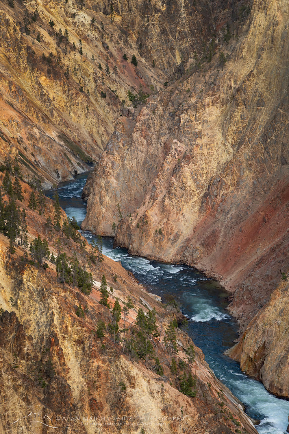 Yellowstone River cutting through colorful rhyolite cliffs, Grand Canyon of the Yellowstone, Yellowstone National Park #67919