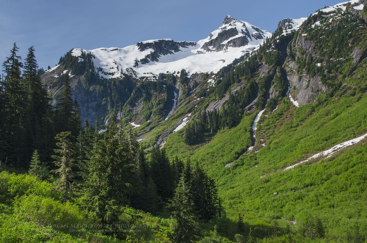 Ruth Creek Valley from Hannegan Pass Trail, North Cascades Washington #58067