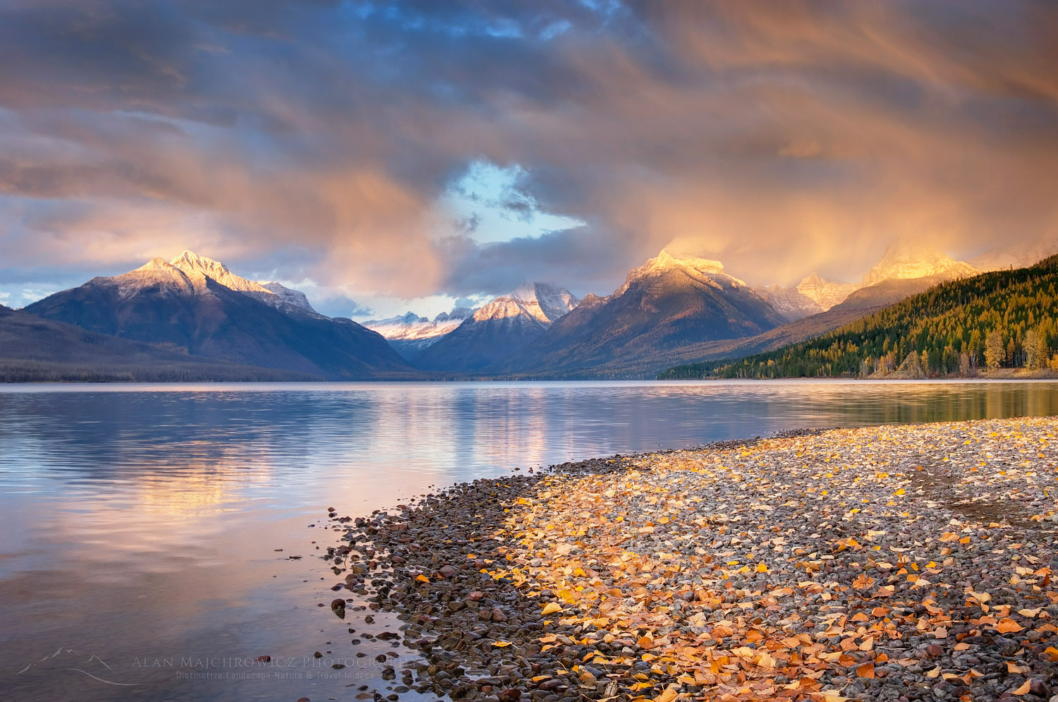 Fallen leaves line the shore of Lake McDonald as a passing storm glows in the evening light, Glacier National Park Montana #22779