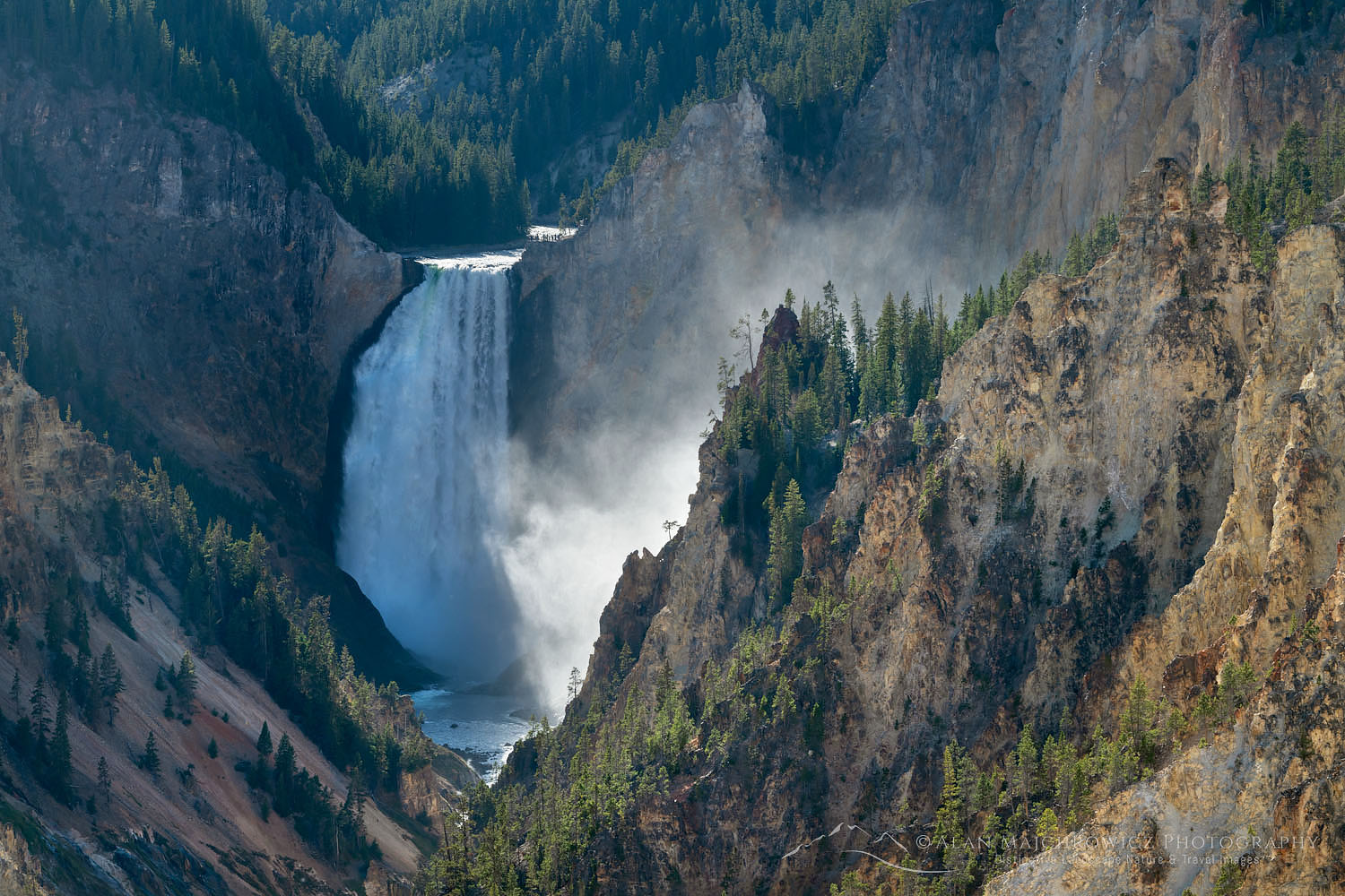 Lower Falls of the Yellowstone River seen from Artist Point, Yellowstone National Park #67909