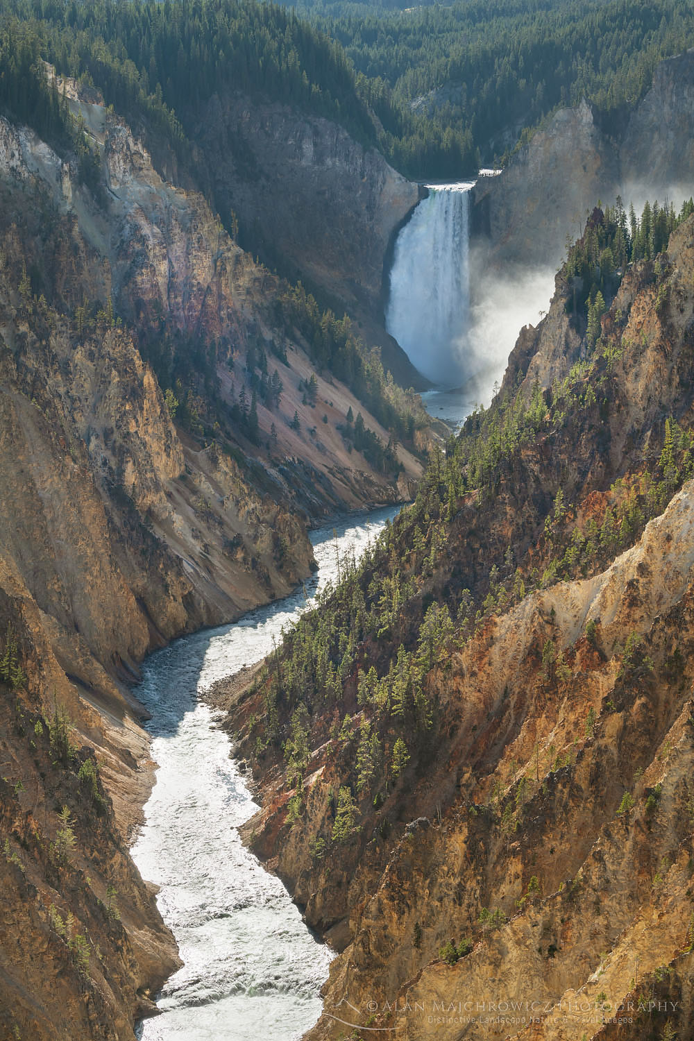 Lower Falls of the Yellowstone River seen from Artist Point, Yellowstone National Park #67912
