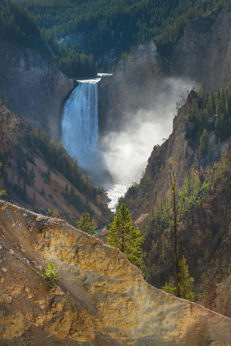 Lower Falls of the Yellowstone River - Alan Majchrowicz Photography