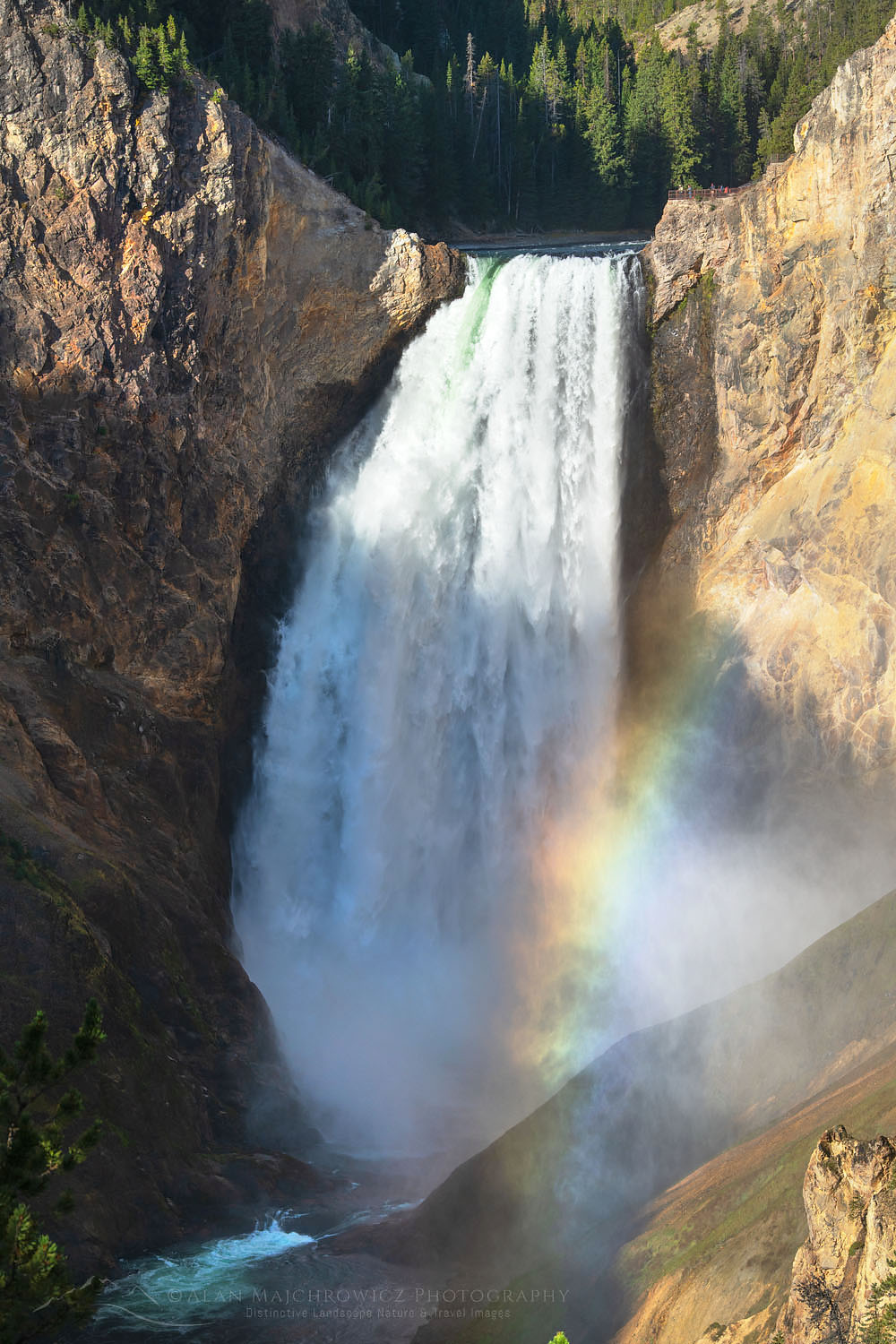 Rainbow at base of Lower Falls of the Yellowstone River seen from Red Rock Point, Yellowstone National Park #67962