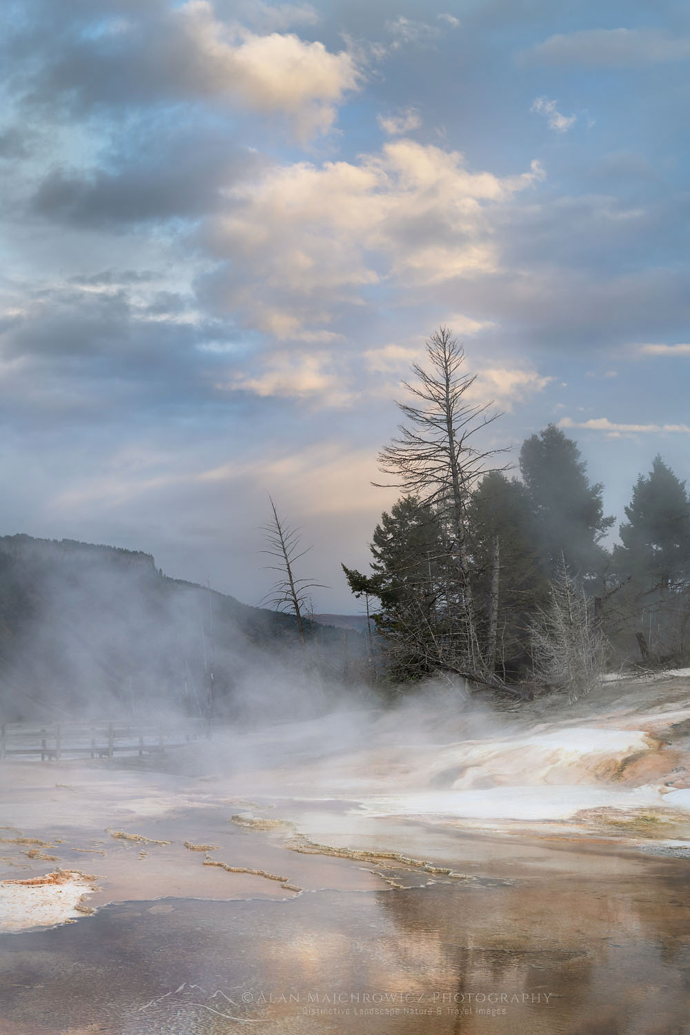 Grassy Spring. Desposits of travertine colored by thermophilic bacteria, Upper Terraces Mammoth Hot Springs, Yellowstone National Park #68028