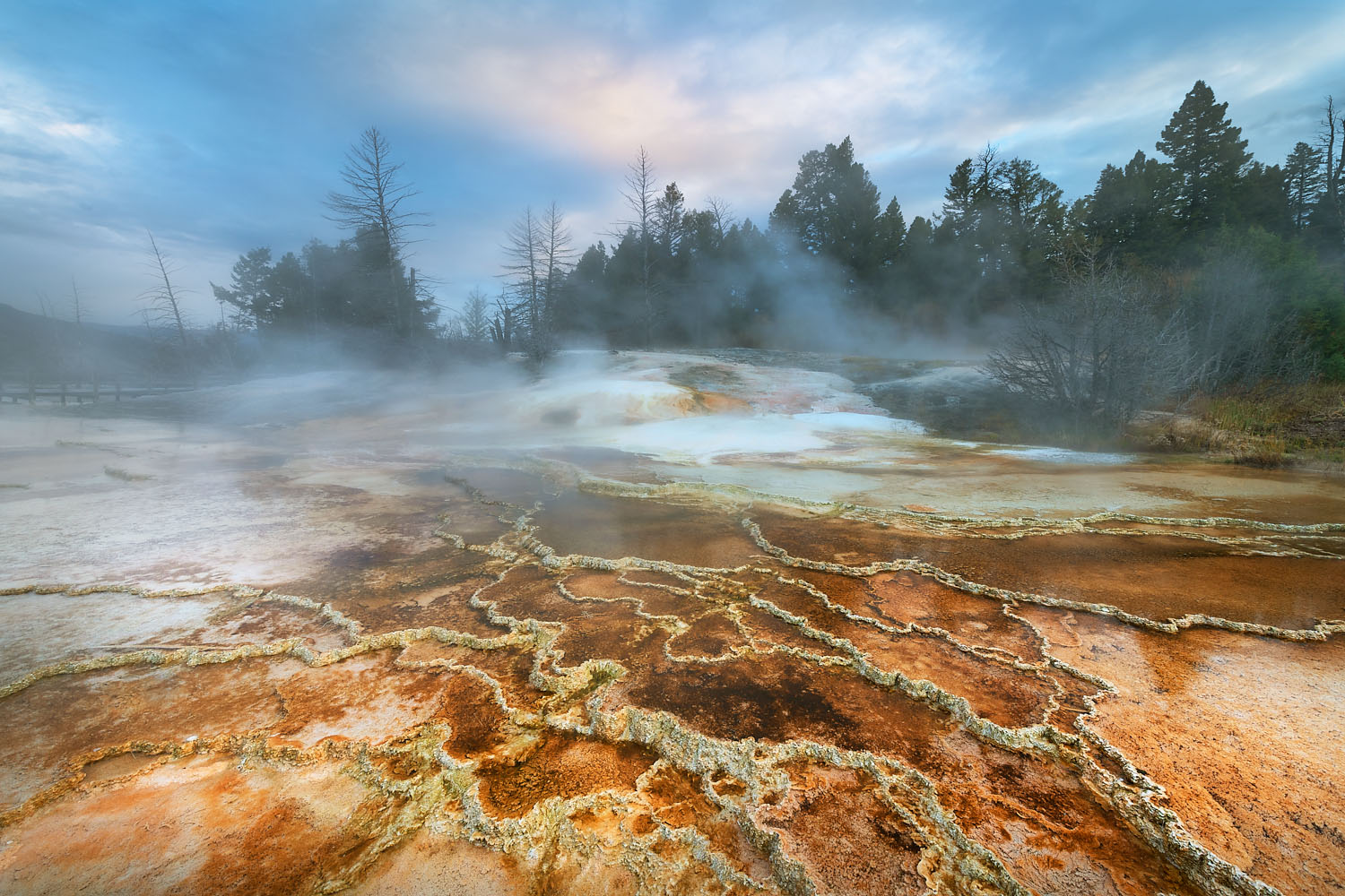 Grassy Spring. Desposits of travertine colored by thermophilic bacteria, Upper Terraces Mammoth Hot Springs, Yellowstone National Park #68034