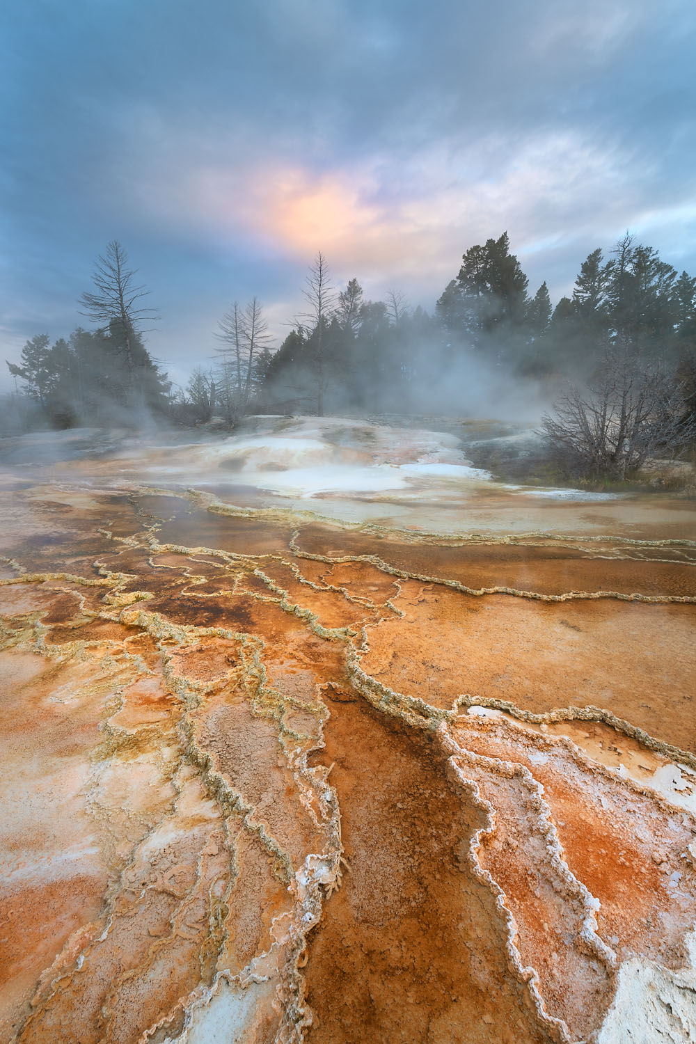 Grassy Spring. Desposits of travertine colored by thermophilic bacteria, Upper Terraces Mammoth Hot Springs, Yellowstone National Park #68035